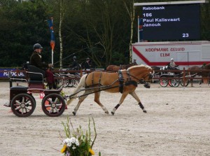 Janouk op Hippiade 