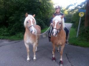 Janouk en Meneer Anton op avontuur